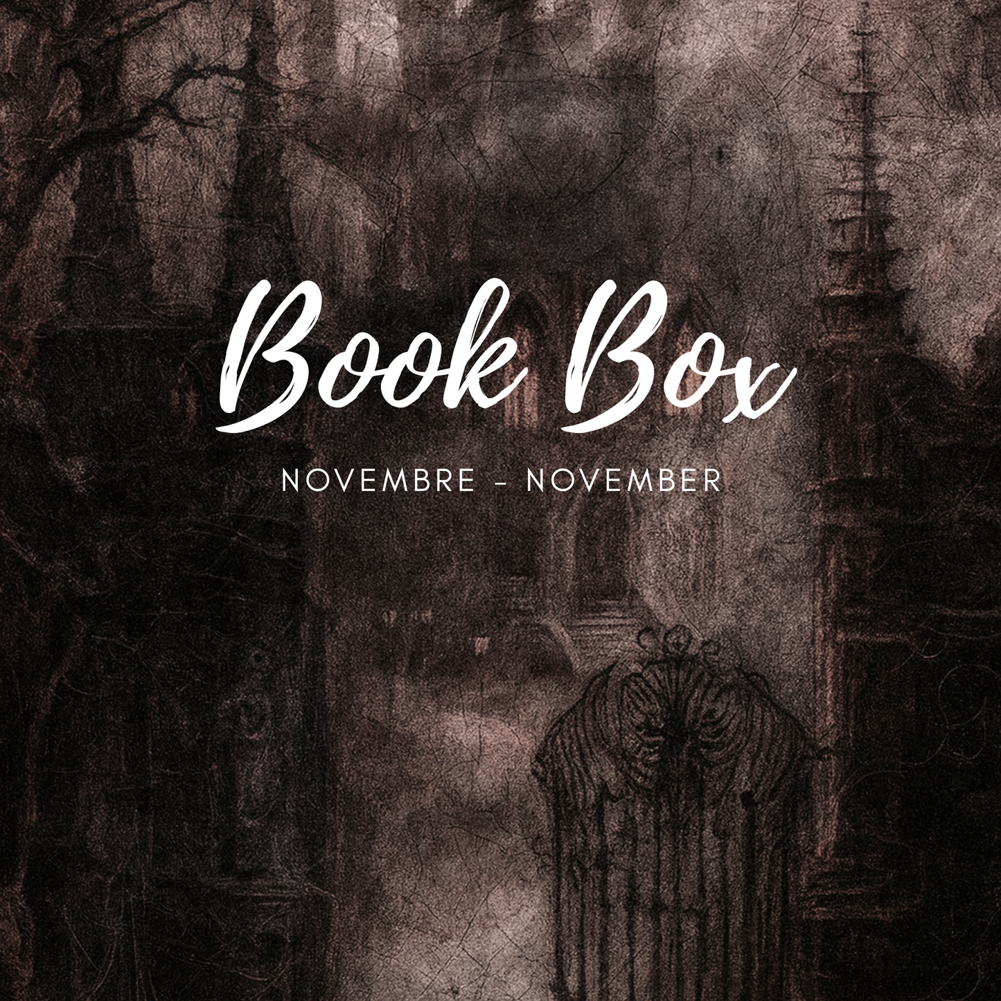 Book Box November